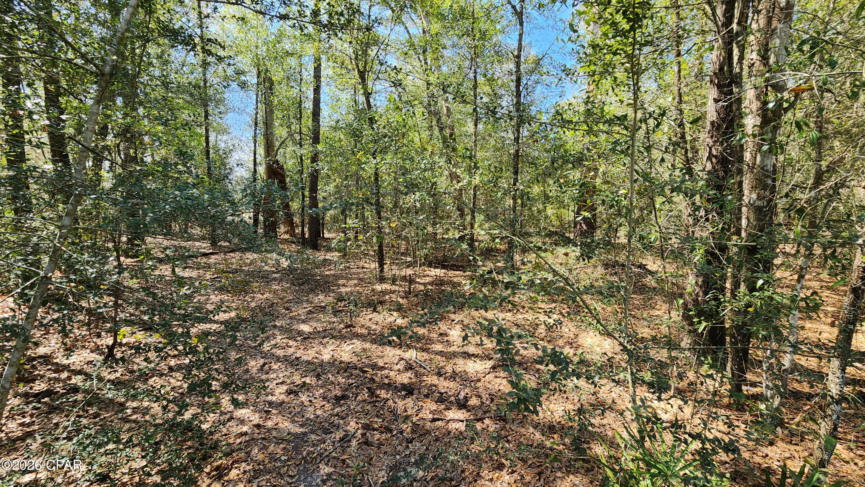 Pinecrest - Land