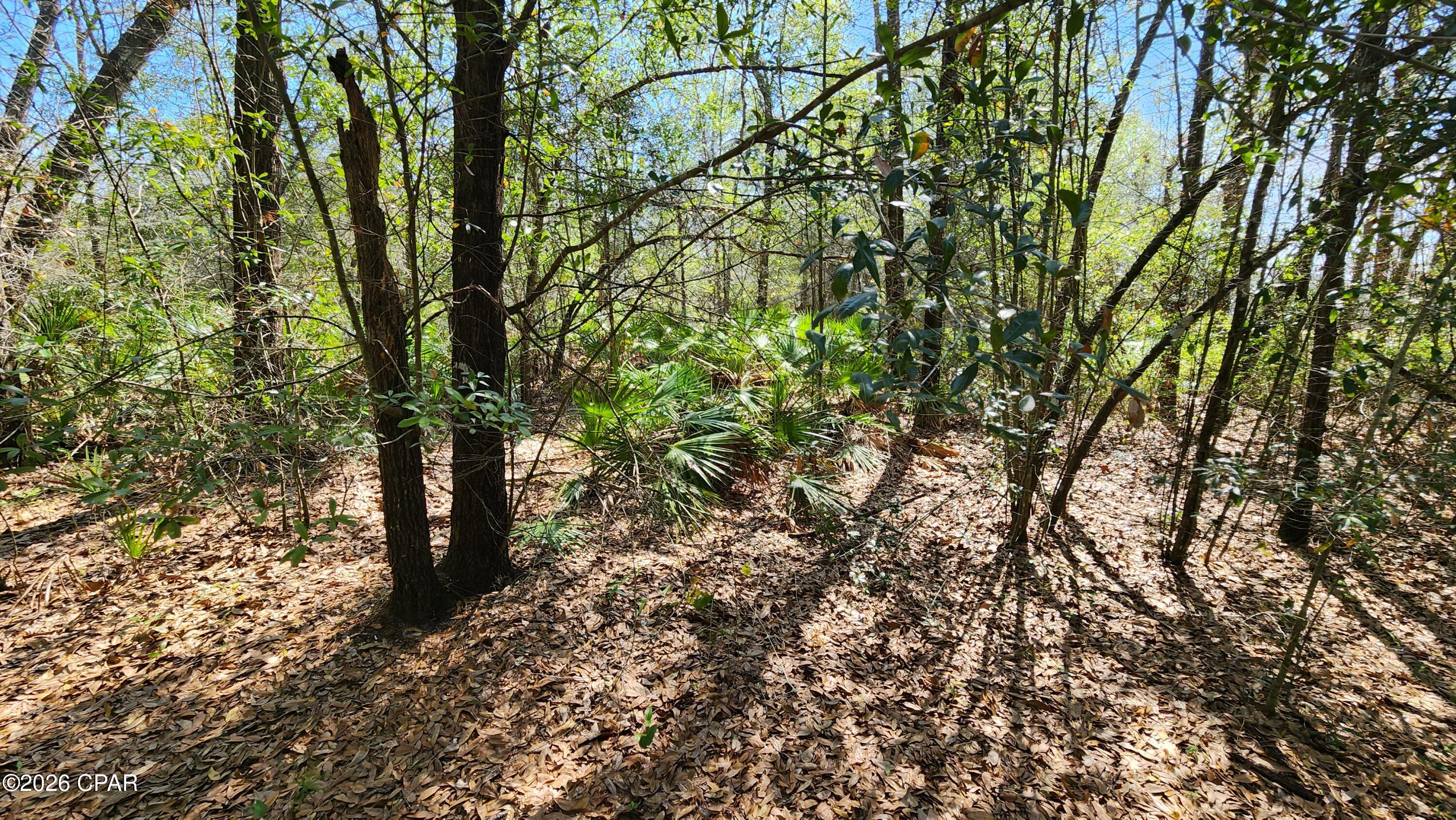 Pinecrest - Land