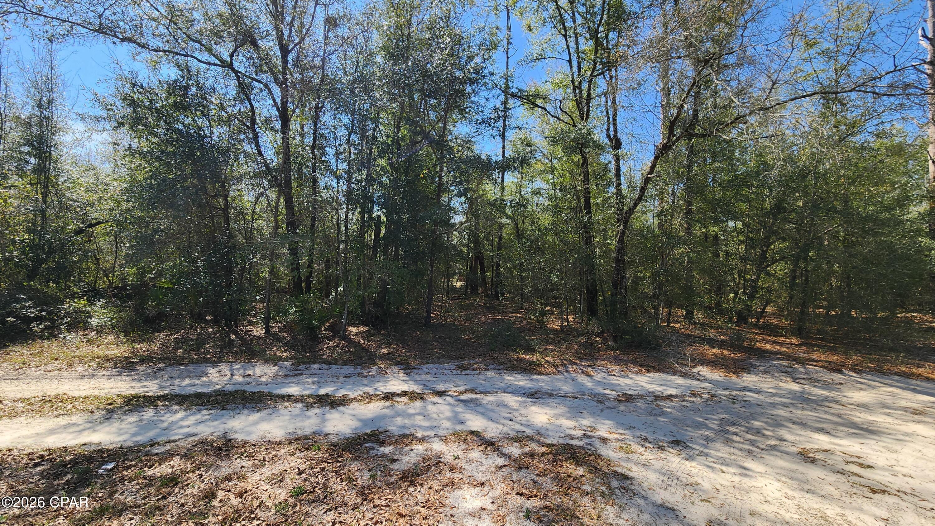 Vacant residential lot measuring approximately 74 x 134 ft located in a quiet, secluded area of Bay County, Florida. Zoned R-2, allowing for site-built single-family homes or manufactured homes, offering flexibility for a variety of residential uses.

Conveniently situated approximately 1 mile north of Hwy 20 off Hwy 231, with easy access to major routes. Property is located approximately 20 miles south of Interstate 10, providing a straightforward commute to surrounding areas.

Ideal opportunity for new construction, manufactured home placement, or investment.
