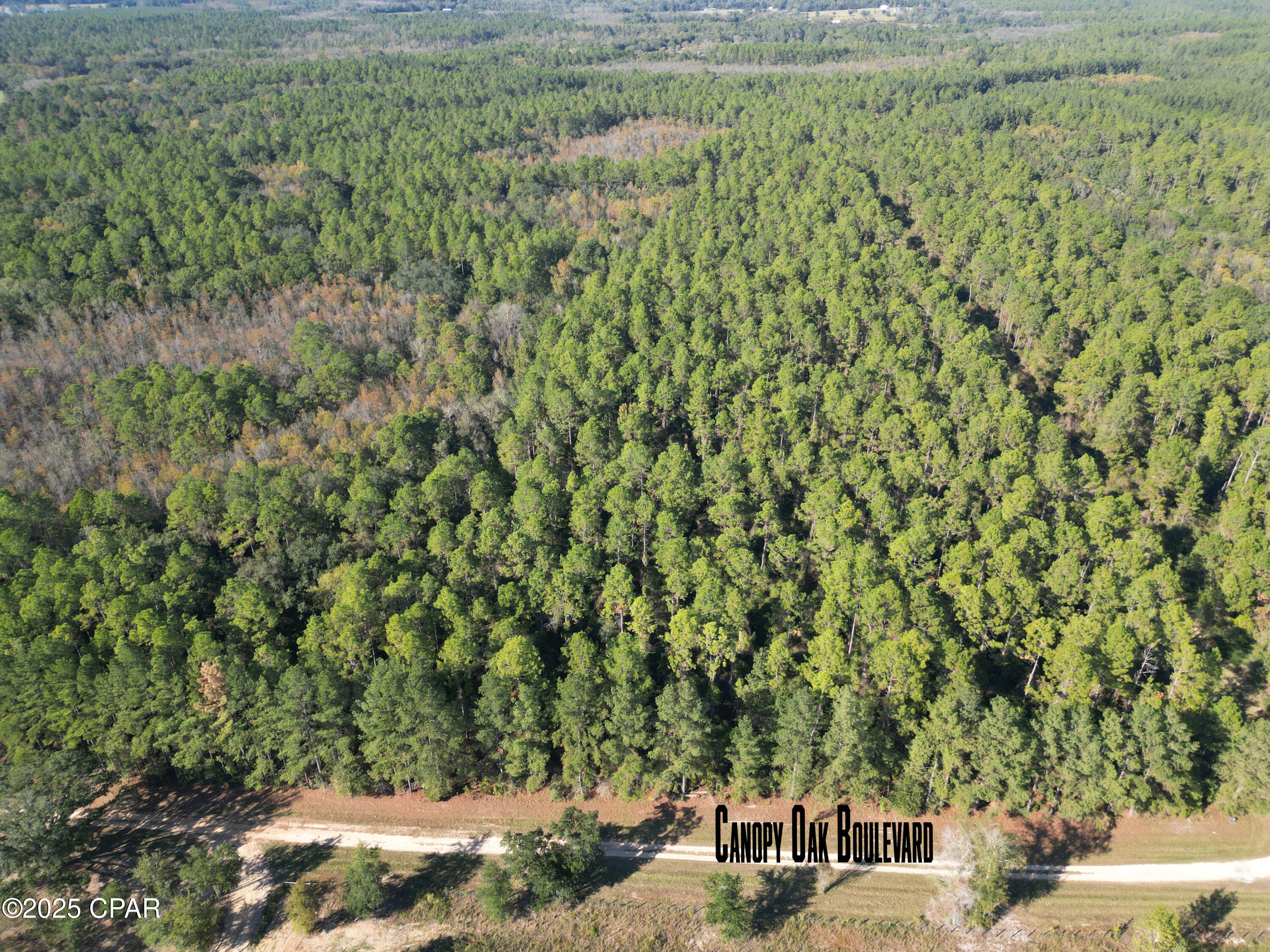 Canopy Crossing - Land