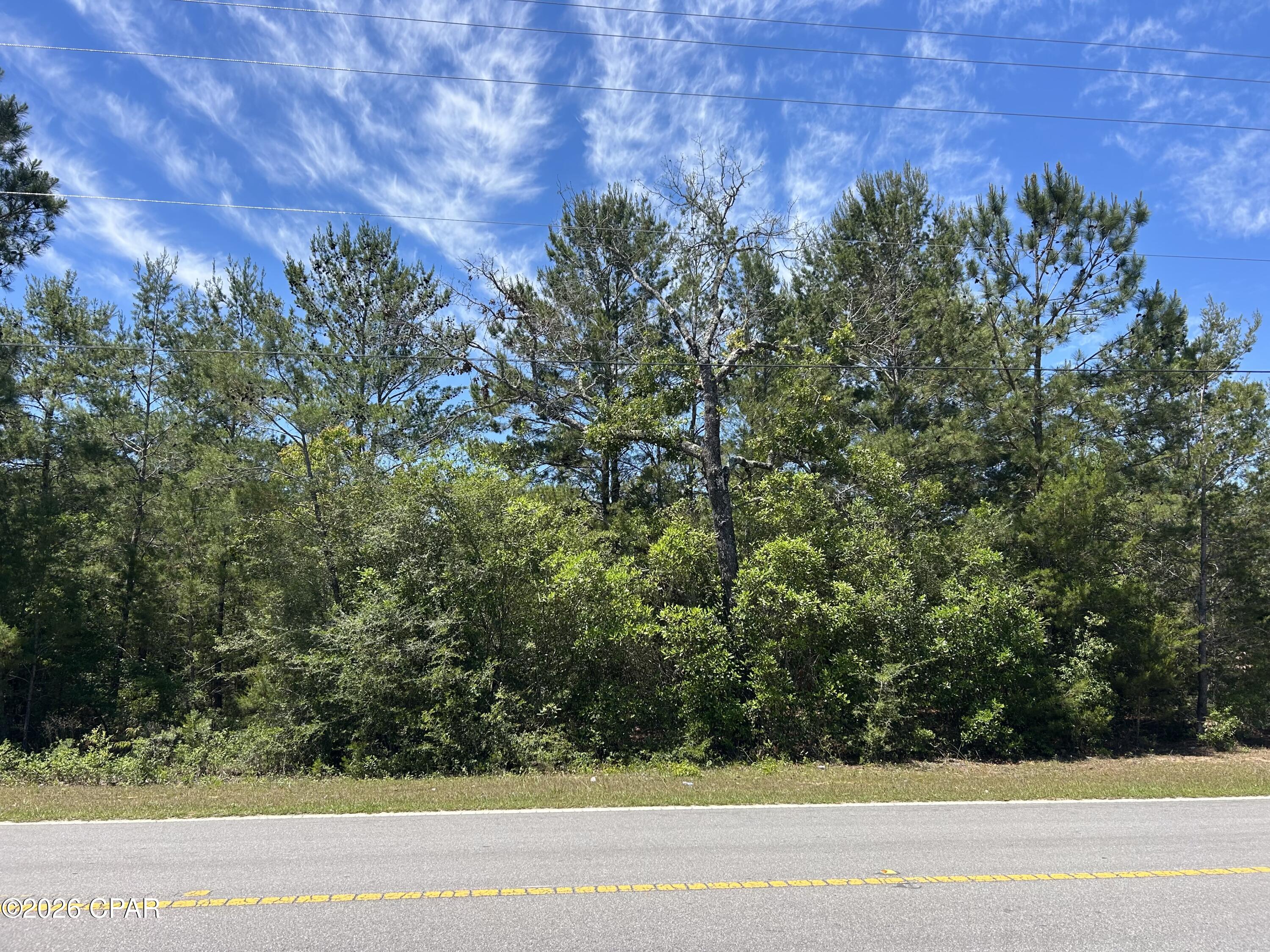 Escape to the peace and privacy of country living with this beautiful 5.5-acre wooded property featuring paved road frontage and endless possibilities. This high and dry parcel offers the perfect setting to build your dream home, create a private retreat, or establish a mini farm. Surrounded by nature and abundant wildlife, the property provides plenty of space for horses, outdoor recreation, and enjoying the quiet charm of rural living. Whether you're looking for a homesite, investment opportunity, or weekend getaway, this versatile property is ready for your vision to come to life.

*Familial interest in property.