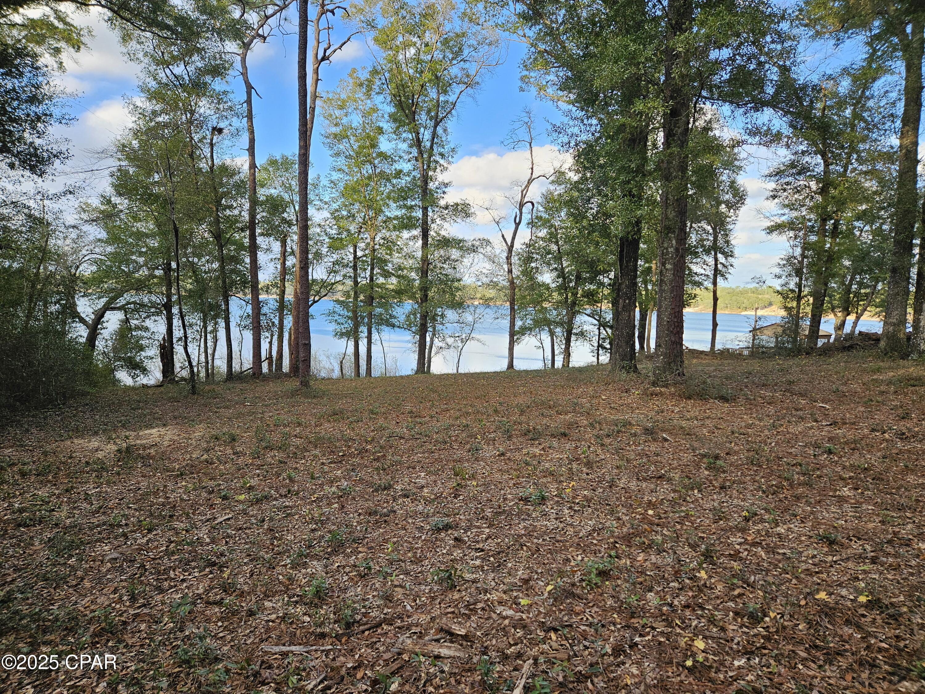 Leisure Lakes 1st Add - Land
