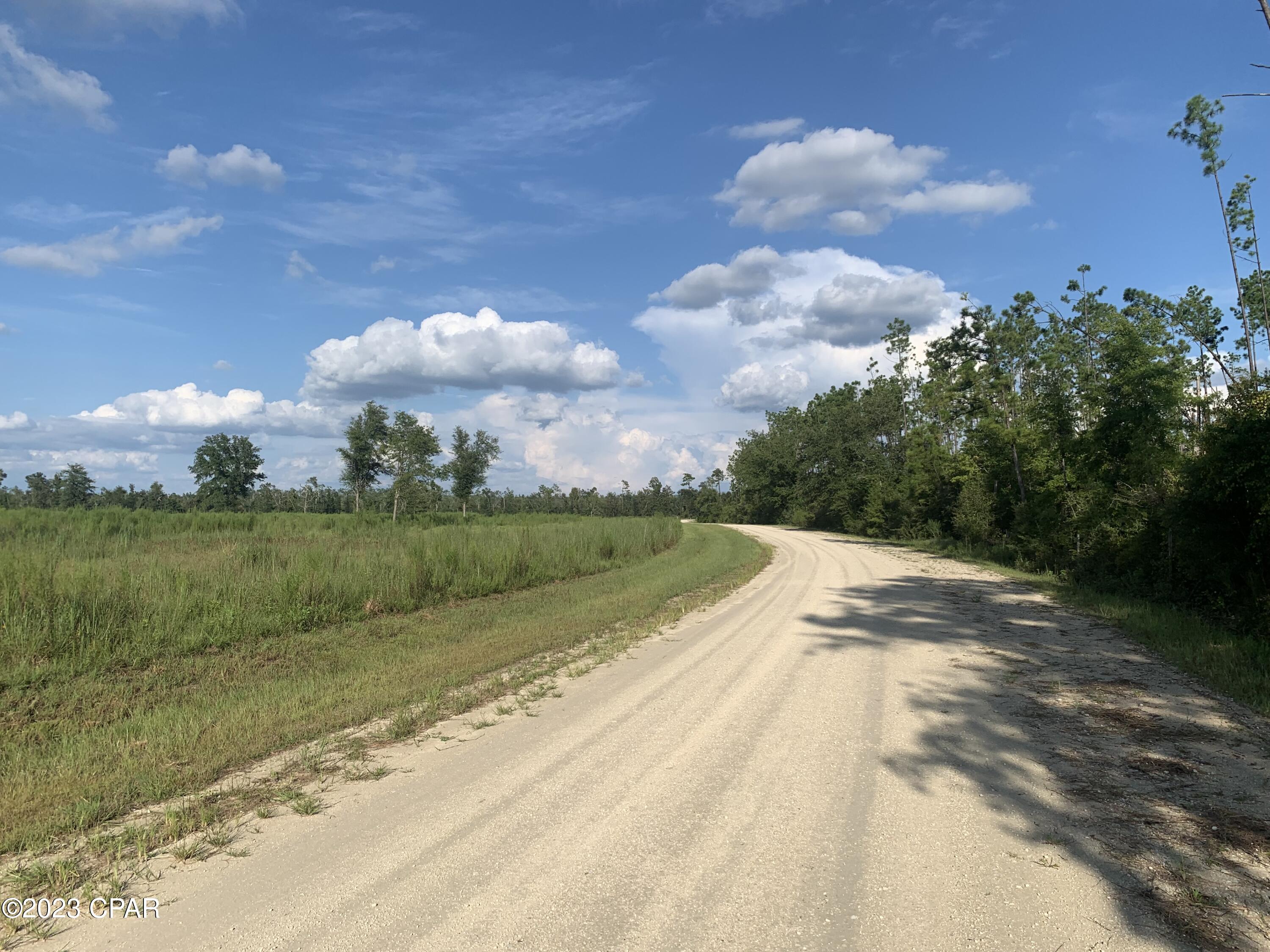 (Pended taking Backups, several more available not pended) FIVE ACRE LOT! (more than one to choose from).

High & Dry! Mostly cleared and ready to build your dream home in the country! Mostly level! Super good land that will grow an excellent garden and fruit trees! Room for a horse. Within a quarter mile of the Chipola River and close to several public boat ramps! Quiet Serenity! Leave the city rat race! Room to store your boat and RV!