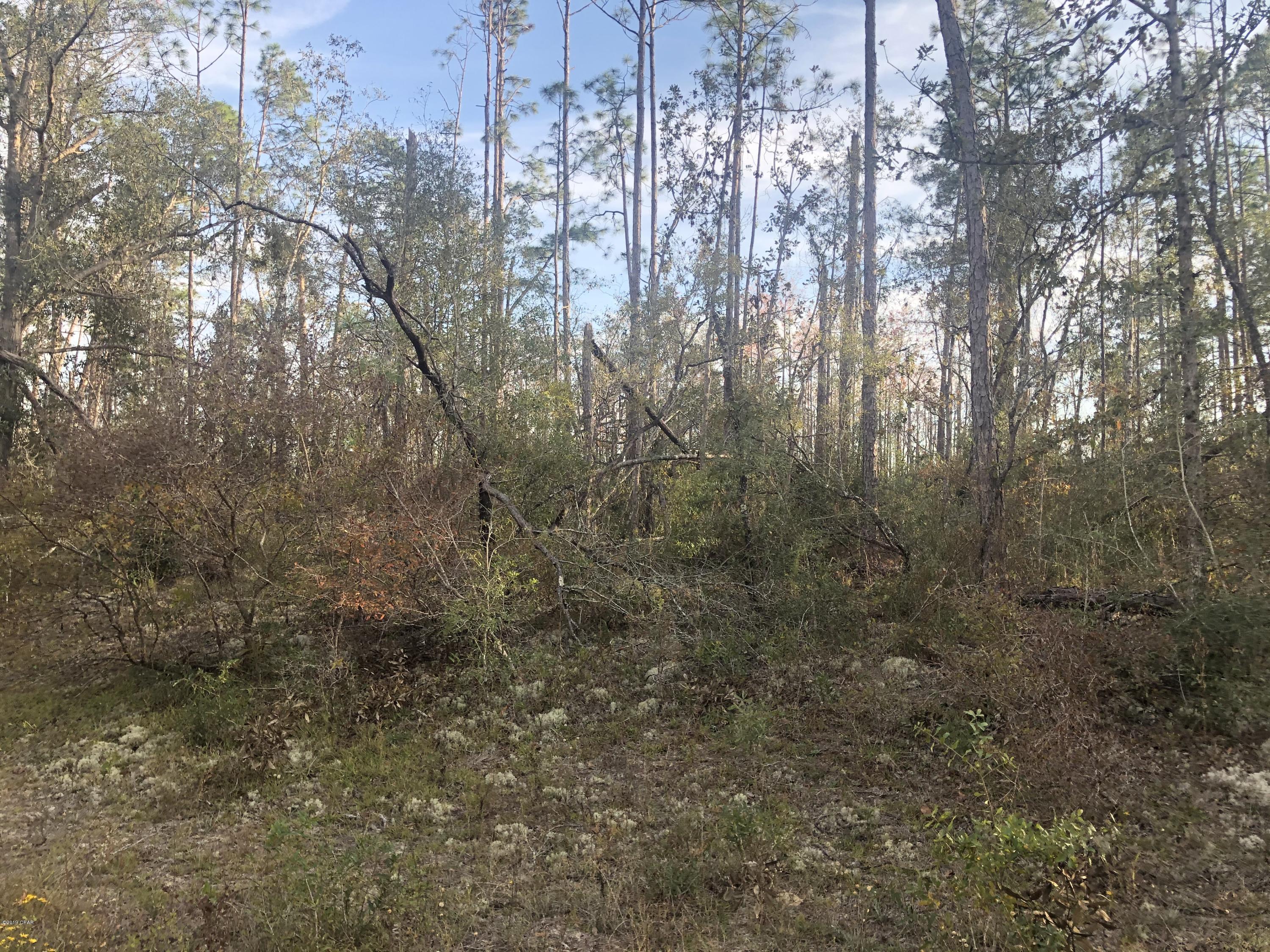 Nice lot on the North side of Compass Lake in the Hills Subdivision.  If privacy is what you long for then this is your lot.  Quiet and fool of wildlife tracks everywhere.  Lots of deer tracks.  Nature is where this lot sits.  Buyer to pay closing cost.  Nice trees on the lot.