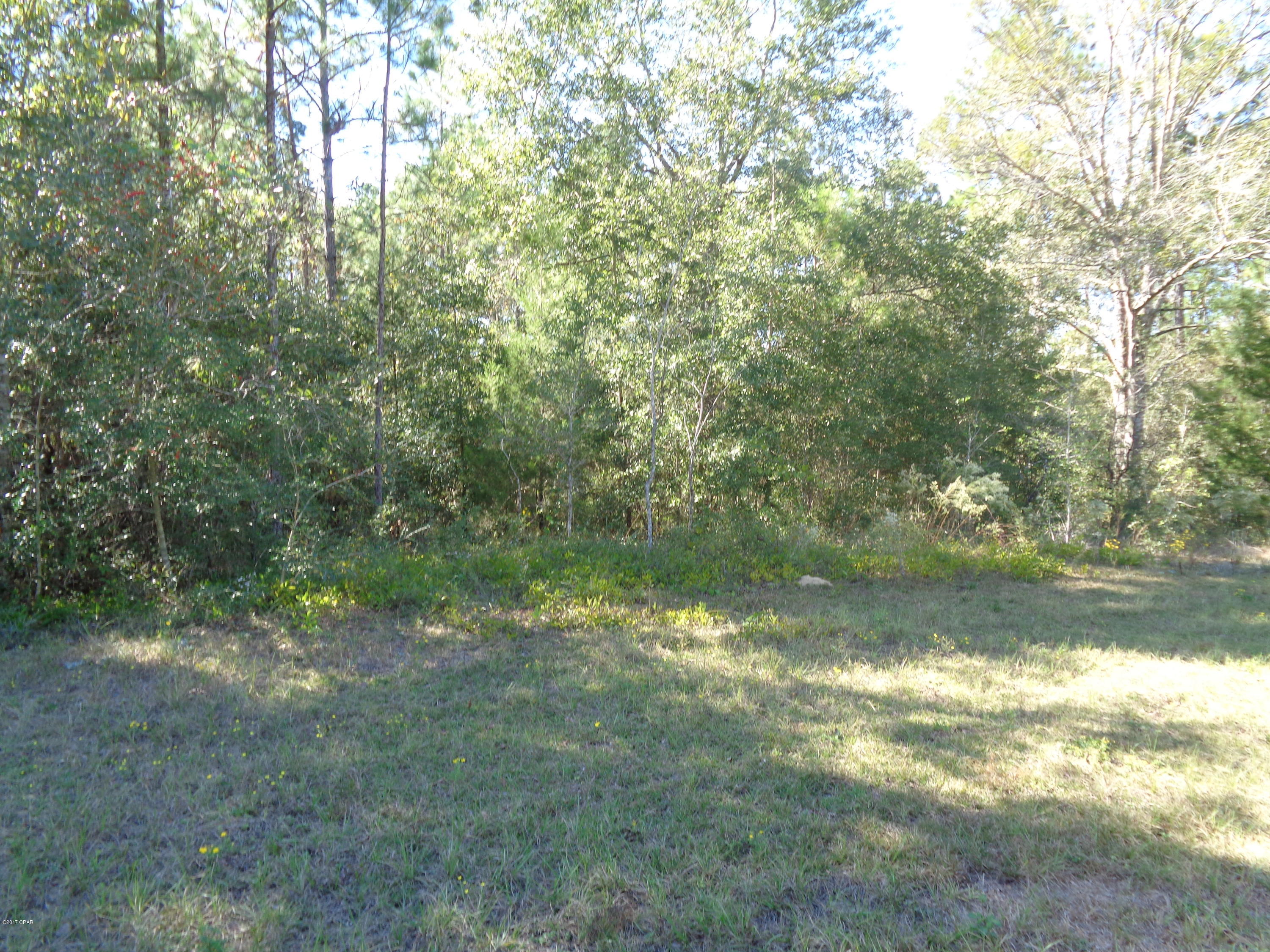 GREAT BUILDING LOT OR WOULD MAKE A GREAT INVESTMENT. LOCATED ON PAVED ROAD WITH AMMENITIES SUCH AS THE LAKES, CLUB HOUSE AND GREAT AREA FOR HORSEBACK RIDING.