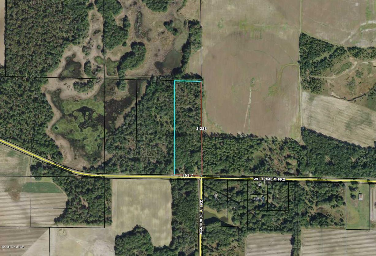 Beautiful 12.5 acre lot on a paved road with NO deed restrictions.  Property has been vacant for several years, but previously had a Manufactured home with well and septic tank.  Seller makes NO insinuation or claim of functionality of previous well and septic tank.  Notation is for disclosure only.  Call to schedule your showing today!