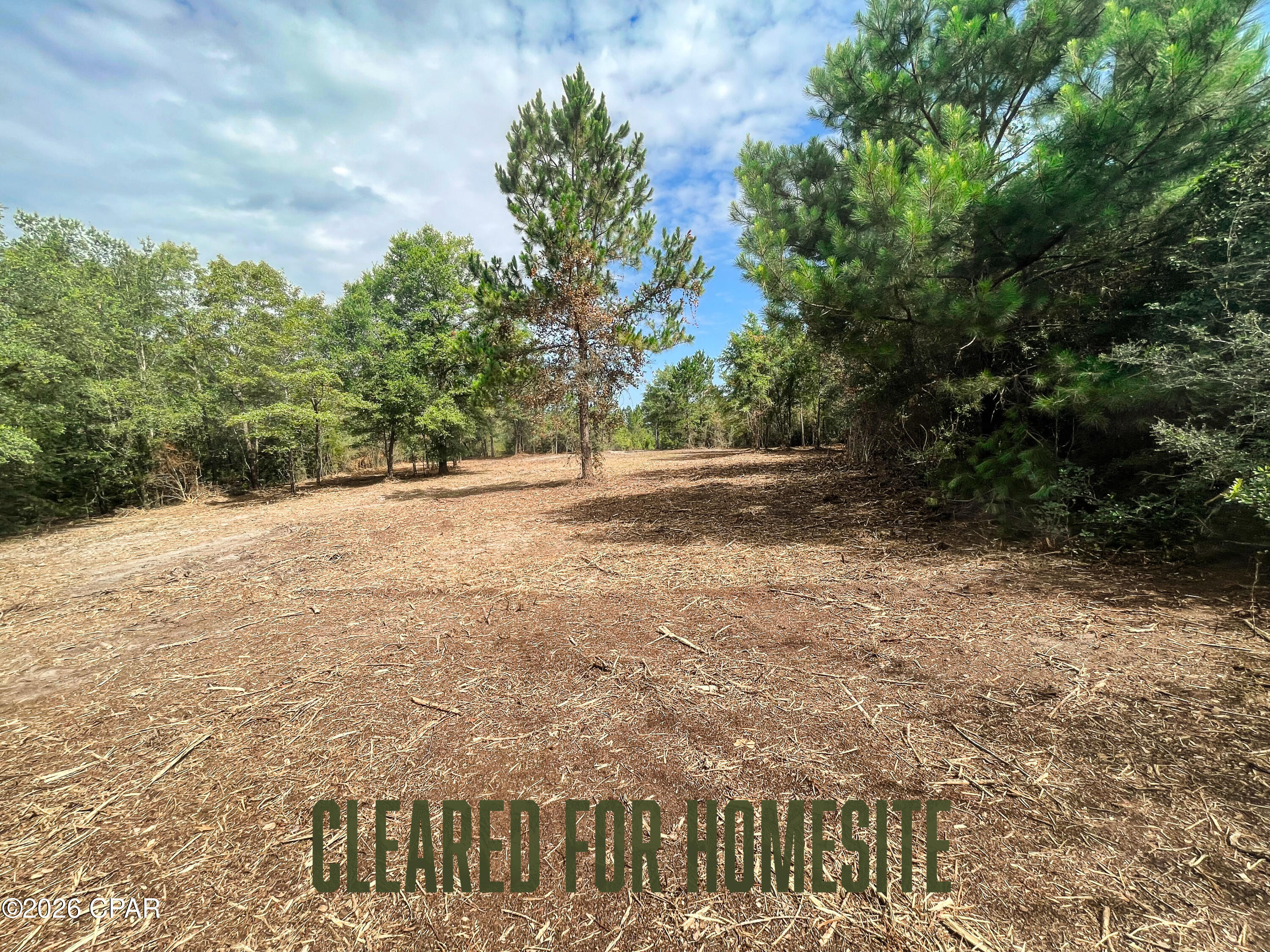 Pine Ridge Estates - Land