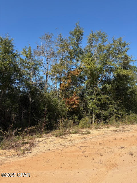 Over 1 acre of wooded residential land located in the growing Compass Lake in the Hills community (Unit 5). Just a short drive to Compass Lake—perfect for boating, swimming, and fishing on the approx. 10,000-acre lake. The optional property owners' association offers a variety of amenities for members to enjoy. Mobile homes are now permitted in this deed-restricted subdivision.
Conveniently located minutes from Hwy 231, offering easy access south to Panama City, beautiful Gulf Coast beaches, and NW Florida Beaches International Airport, or north to I-10 connecting you to major cities and shopping. This area offers privacy with no close neighbors, and this lot adjoins over 100 acres of Compass Lake POA land filled with woods and wildlife—great for those who appreciate nature or enjoy hunting. If you're seeking peaceful natural surroundings or a hunting spot or to live full time at an affordable land price, don't miss this opportunity.