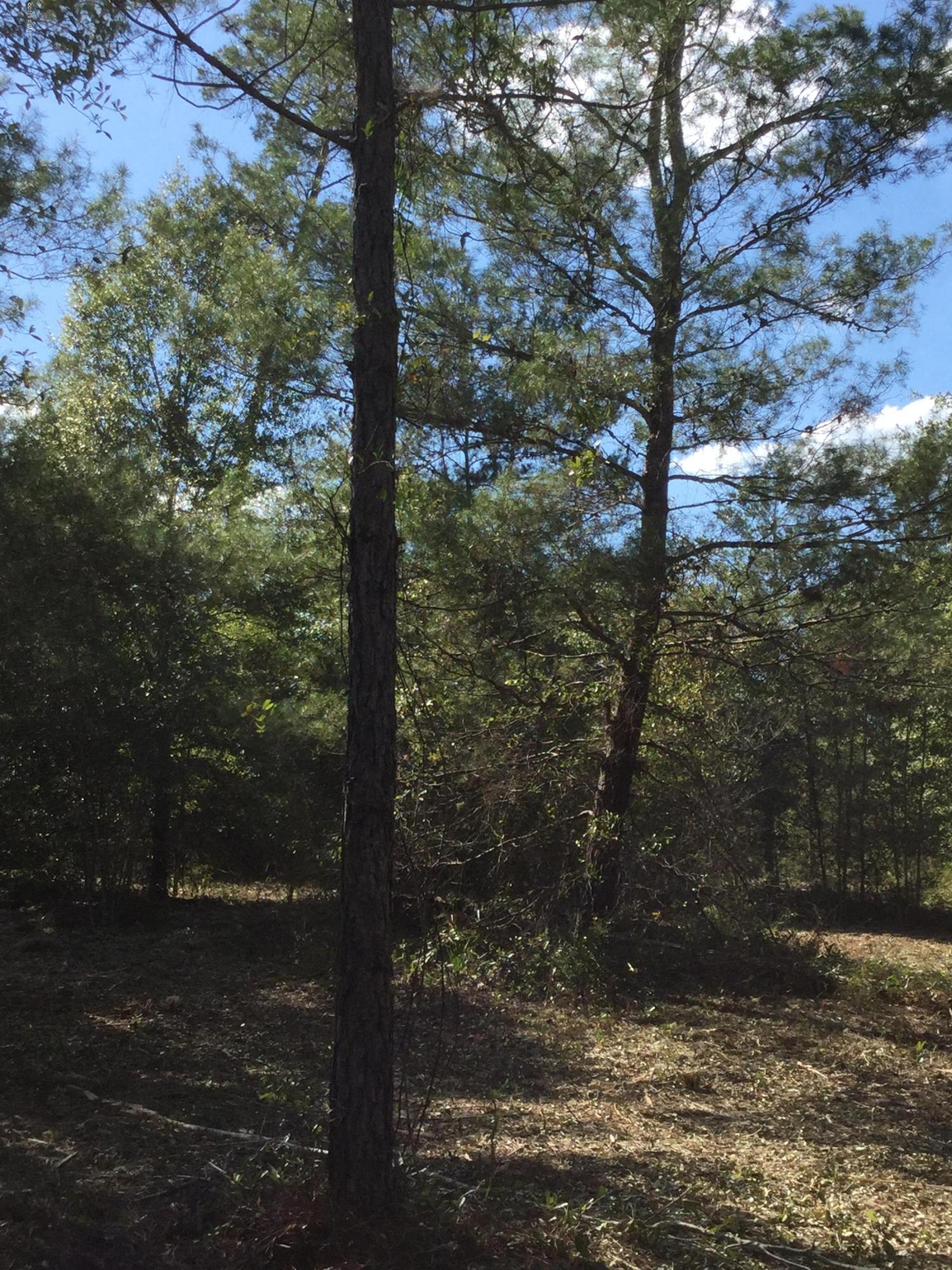 [No Recorded Subdiv] - Land