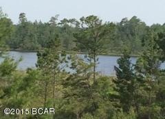 **OVER 5 ACRES ON ONE OF THE MOST SPECTACULAR LOCATIONS ON LONG LAKE!** Just 17 mi. North of the Bailey Bridge in Lynn Haven will bring you to this recently cleared 5+ acre parcel. Whether you want vacant land, a full-time lakehouse with an amazing view, or a weekend getaway/investment property, don't miss your chance to own this beautiful private paradise!