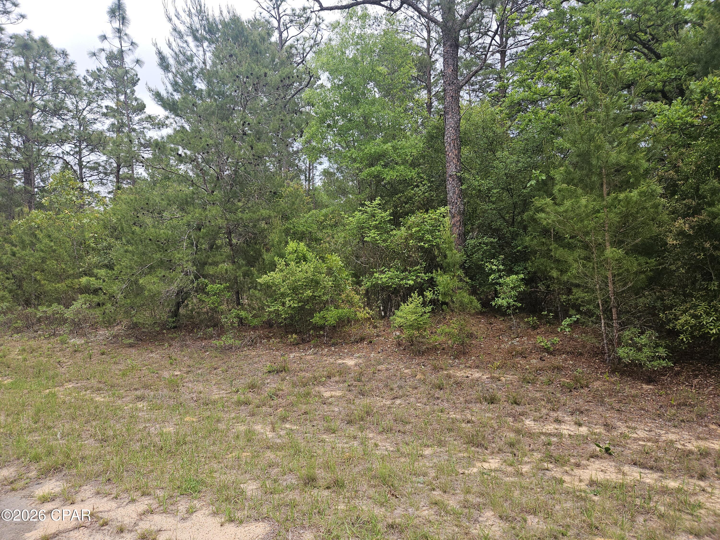 This flat lot is about 2 blocks to acreage owned by the Washington County School District. It is ready for your new home in the growing community of Sunny Hills which includes the wonderful 18-hole Sunny Hills Golf & Country Club.