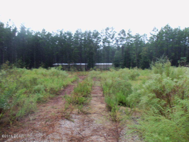 Bank owned property - 4 acres with road frontage. The is a mobilehome on the property but the home is in poor condition and is sold AS IS. Property would be great location to build your dream home - it is close to Airport and beaches and has road frontage. Preapproval and proof funds required for financing offers. Proof of funds required for cash offers.