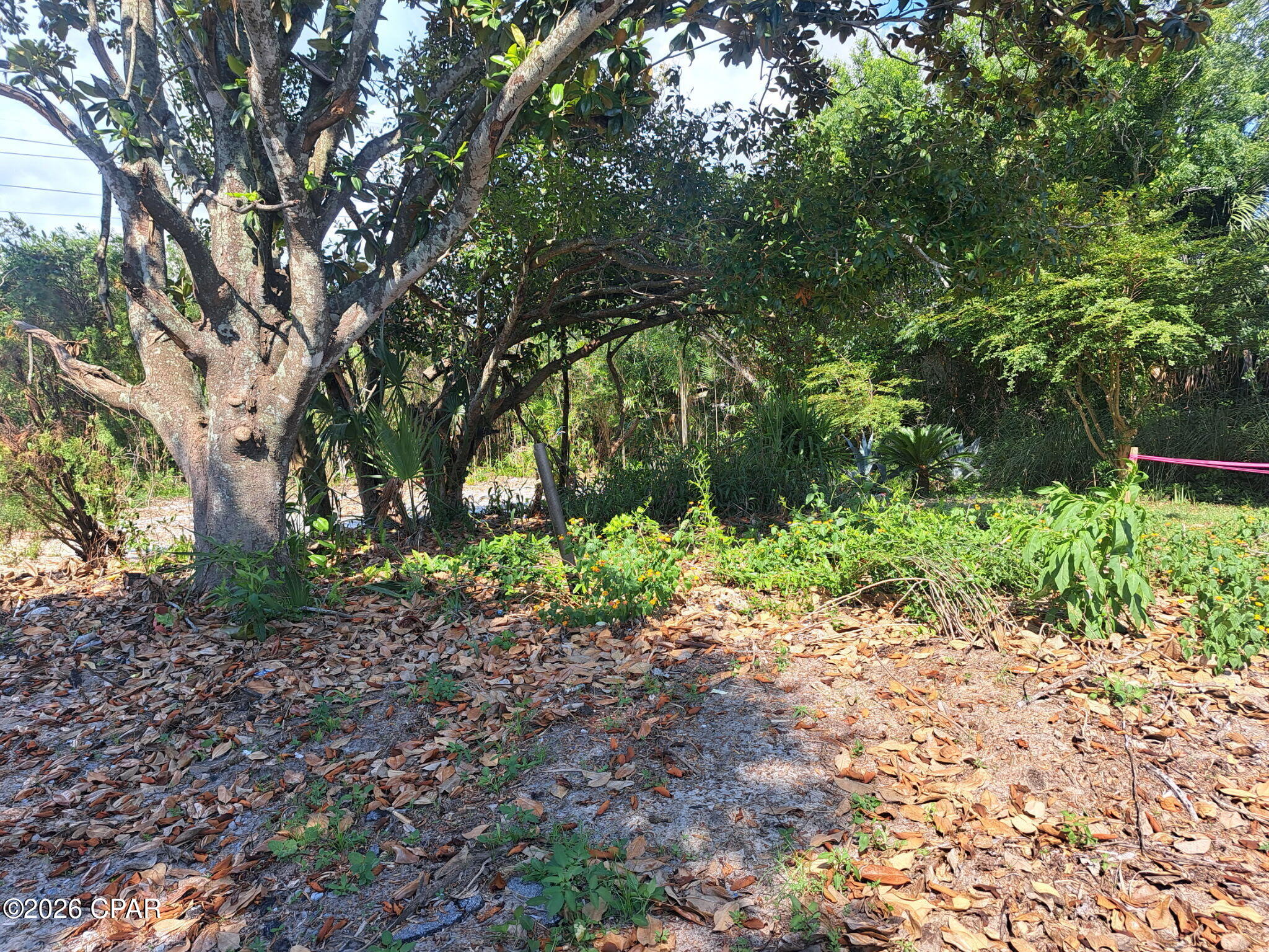 North Lagoon Oaks 7th Add - Land