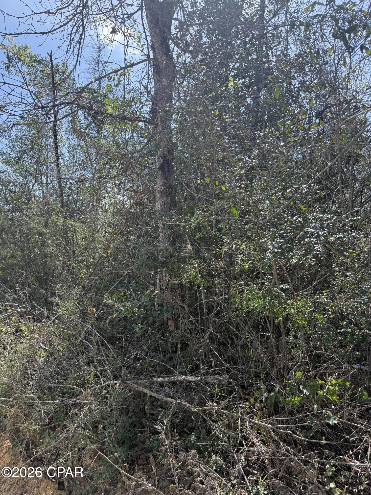 No Named Subdivision - Land