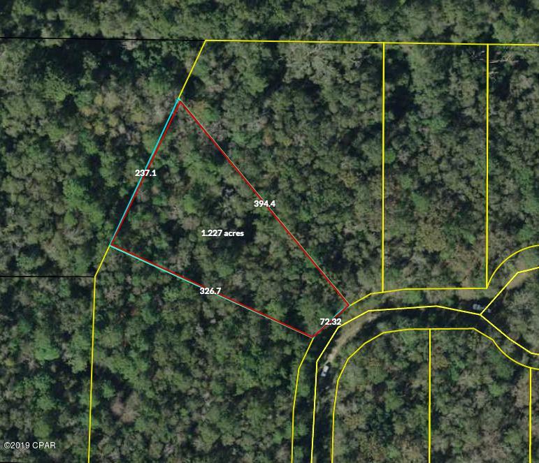 1.18 acres (mol) near Marianna , Mobile home OK ( see restrictions). No public utilities. Well and septic tank needed. Some downed trees from the Hurricane and on the entrance. These lots wont last long at this price.