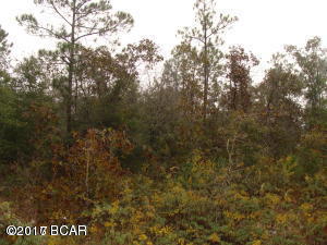 Beautiful Wooded 2 acres.  This is a great place to build your dream homes or put a mobile home on.