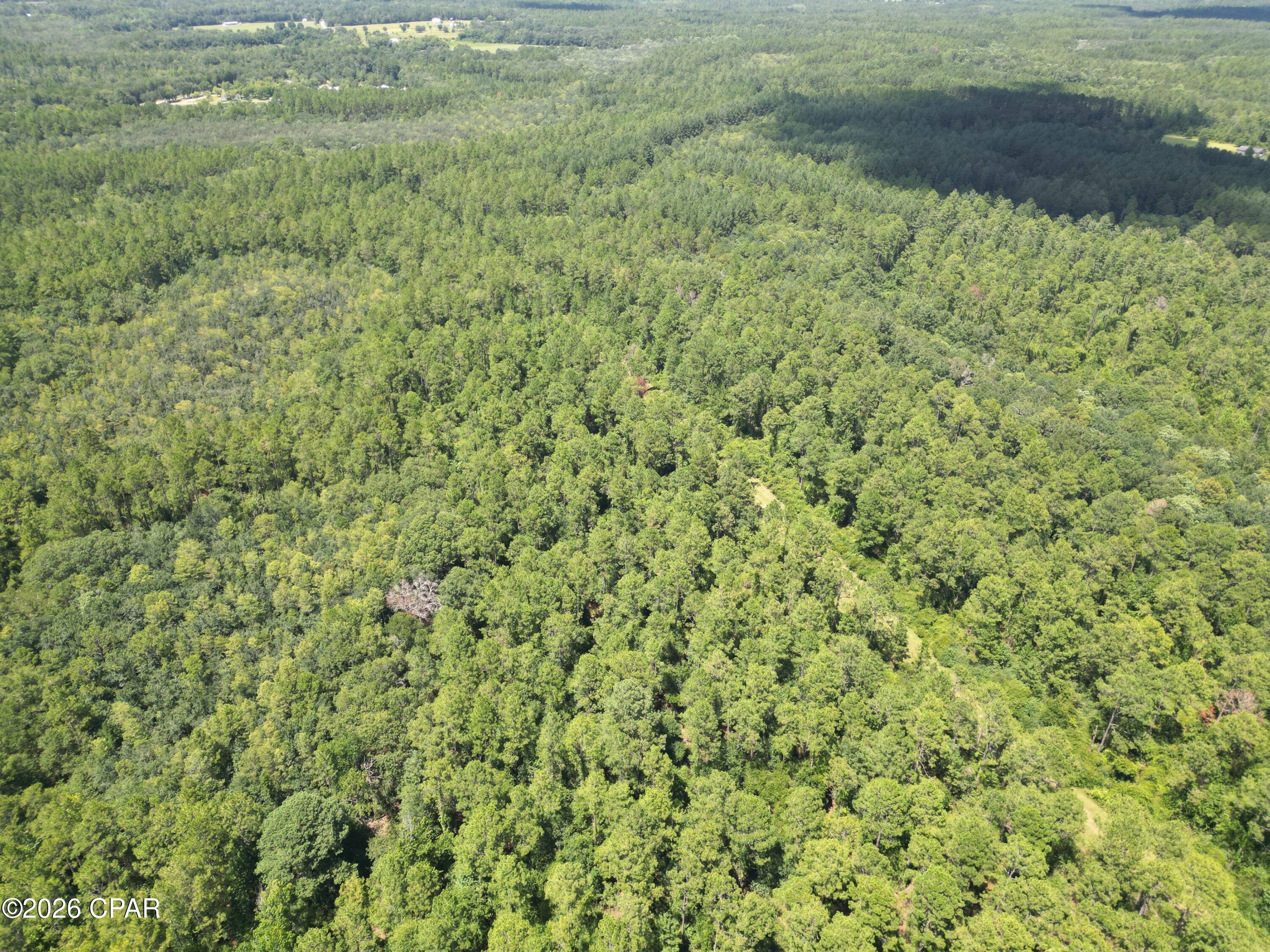 Canopy Crossing - Land