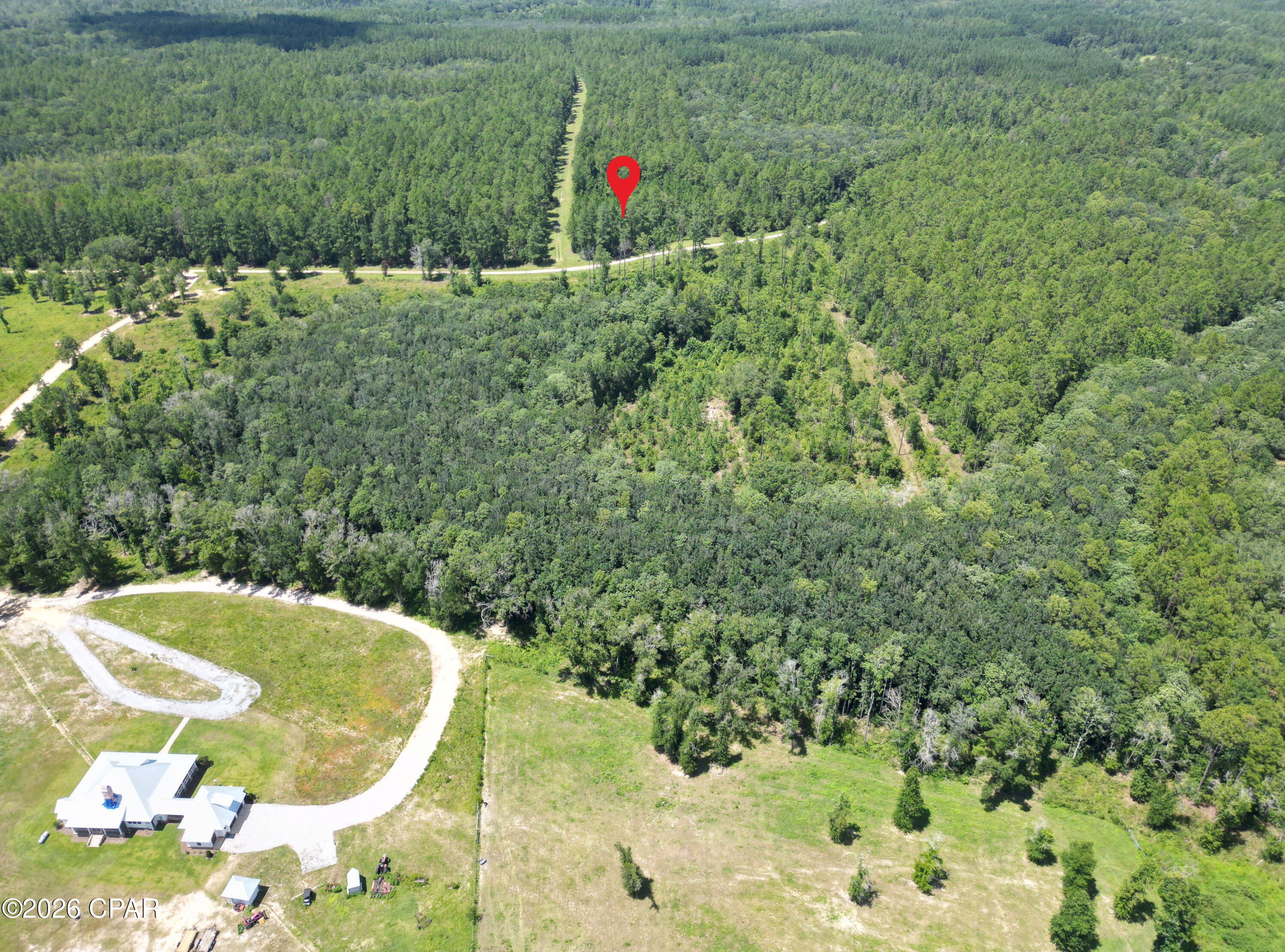 Canopy Crossing - Land
