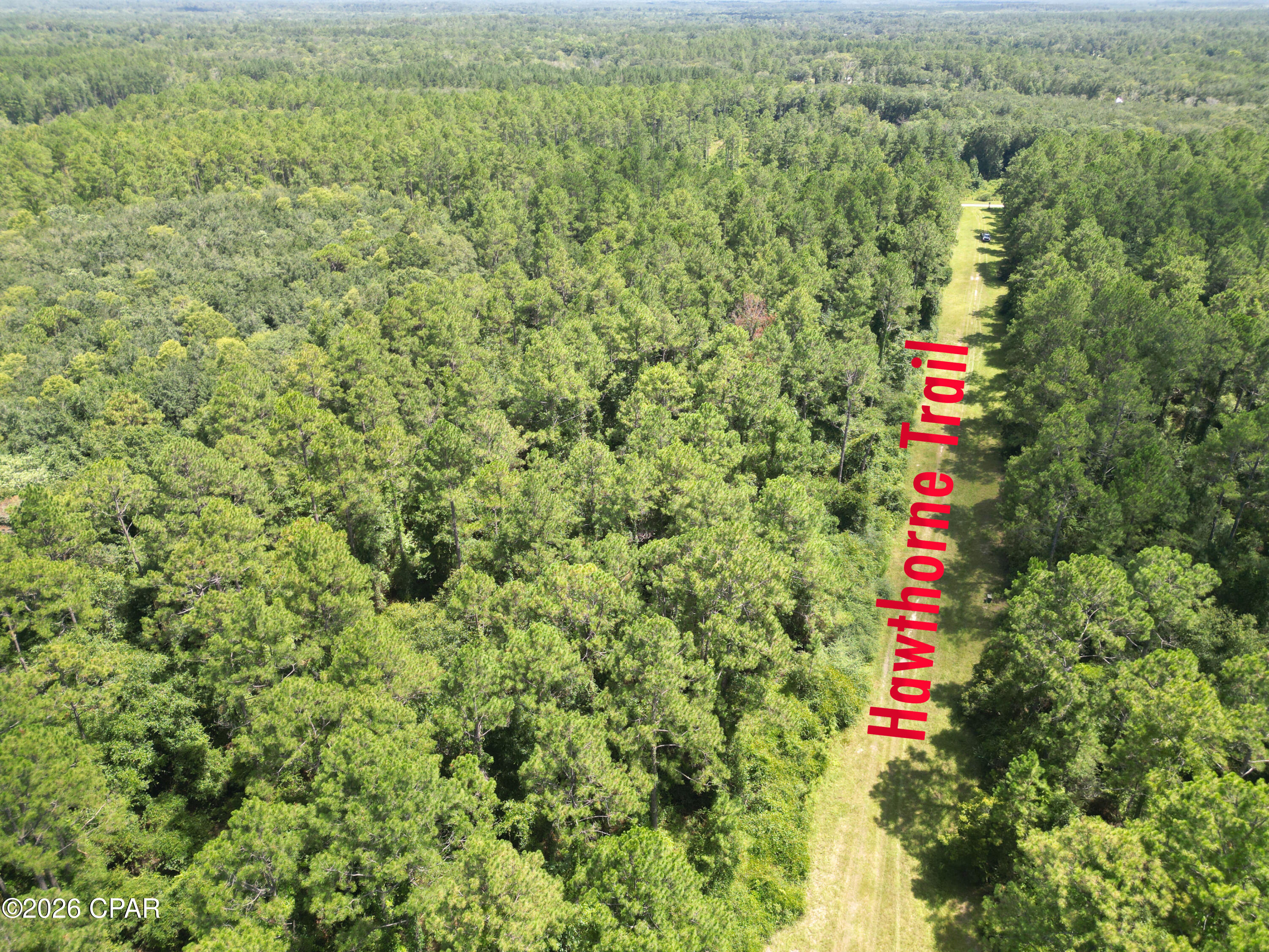 Canopy Crossing - Land