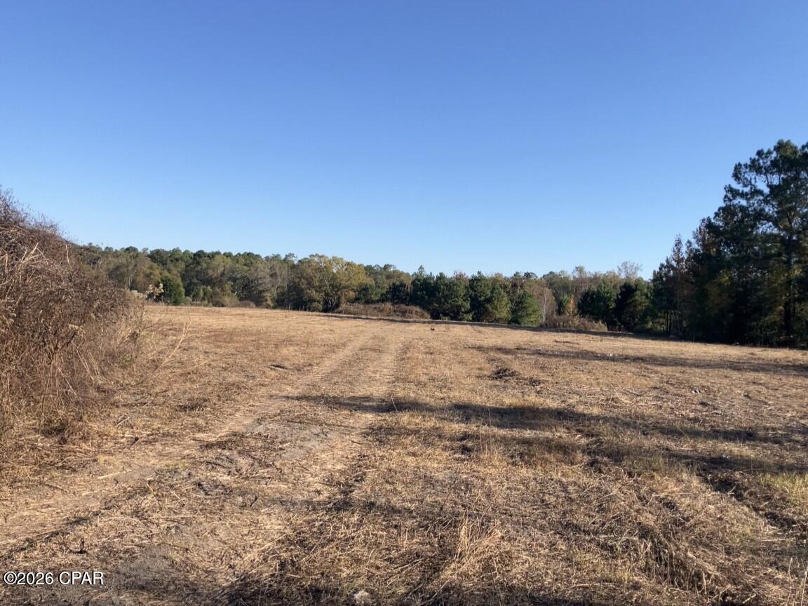 Price Reduced!  Motivated Seller!  Bring all offers!  This is a very DIVERSE property. Highly sought after Industrial/Commercial property with 355 feet of highway frontage on SR 65. The back of the property is zoned Village Rural which means can be commercial or residential.  There is a pond located on the property and the back boundary runs along a branch.  This property offers a buyer many options.  Property is partially cleared and cleaned off except for a concrete slab along the south boundary.  There is an older survey available; would need to be updated.