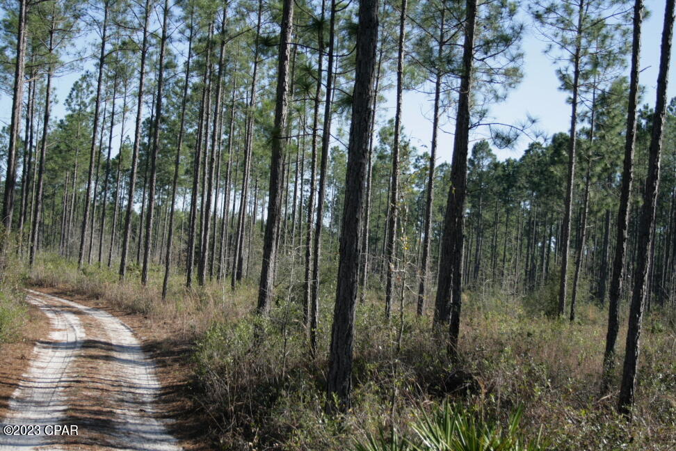 No Named Subdivision - Land