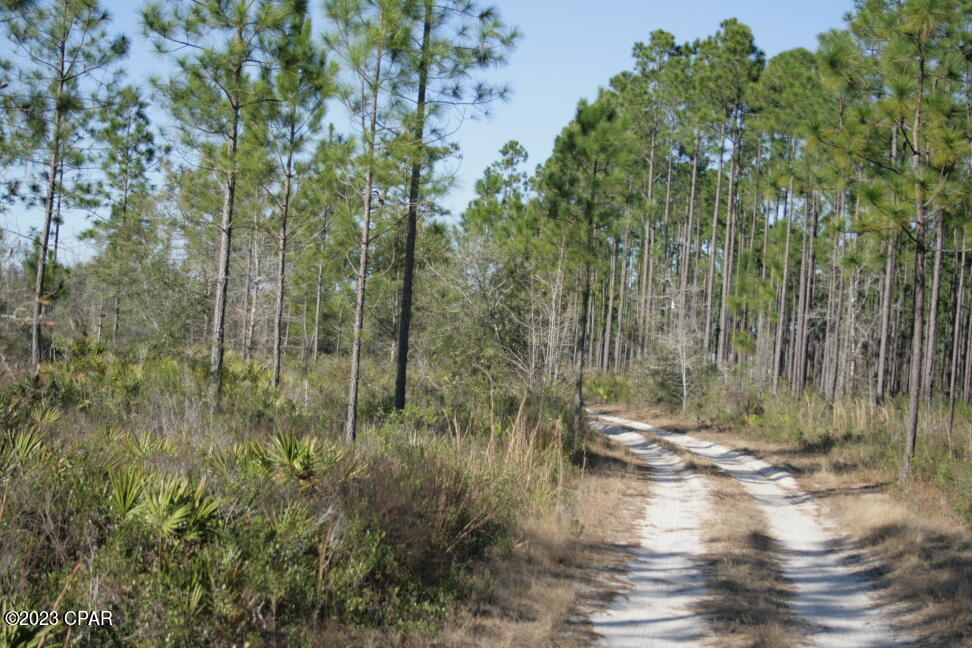 No Named Subdivision - Land
