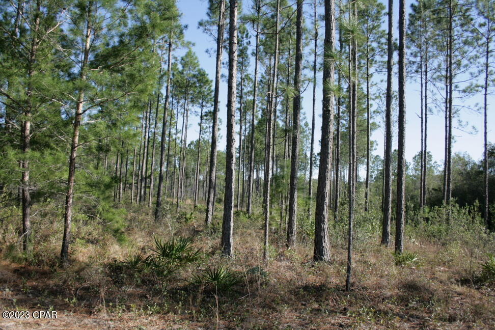 No Named Subdivision - Land