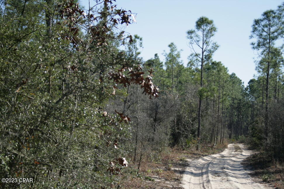 No Named Subdivision - Land