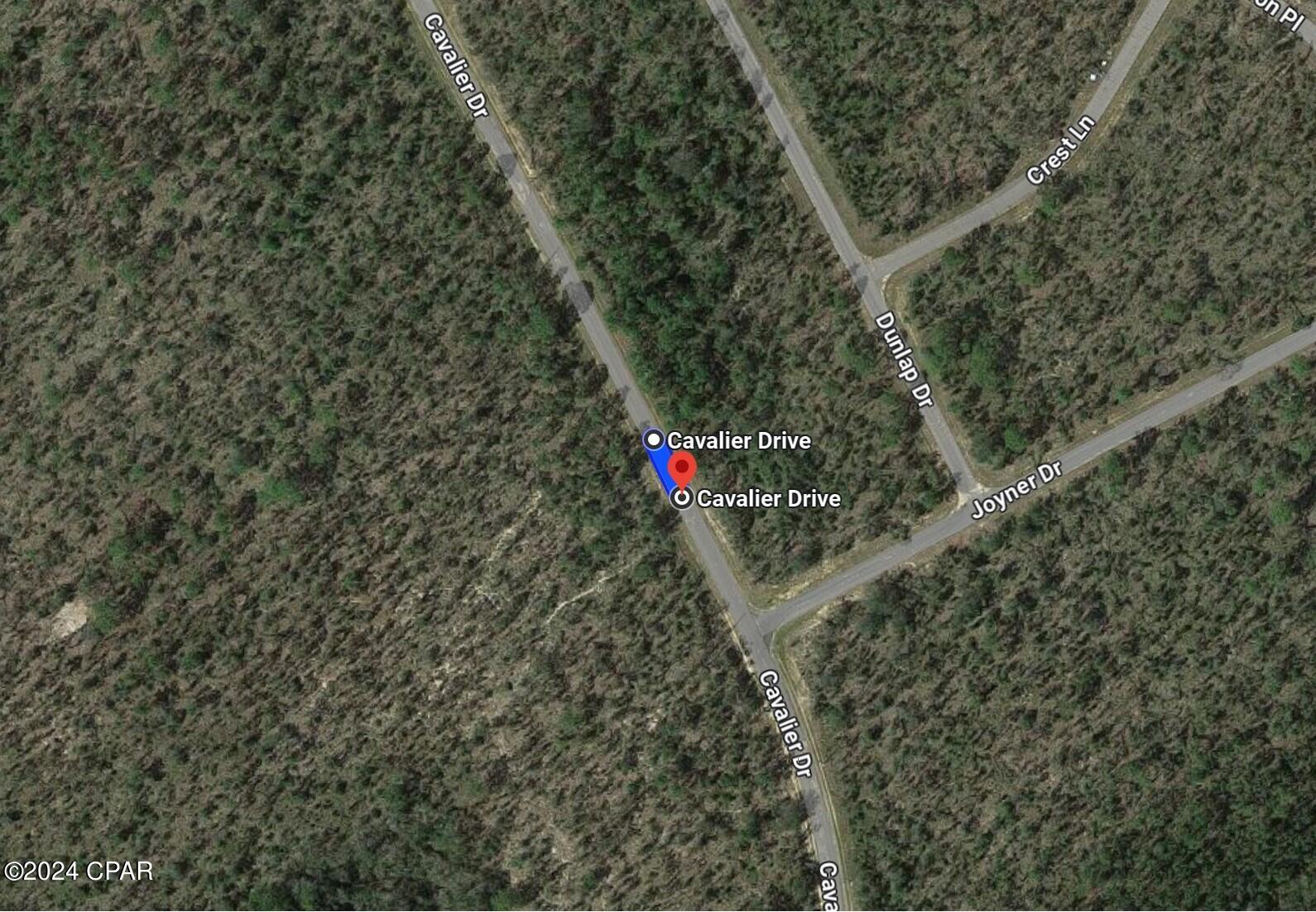 Seller has 2 adjoining lots to sell...with power lines already on Cavalier Drive. This is lot 18 and it is .544 acres. Lot 19 is adjoining and is also .544 acres. The 2 lots total 1.088 acres together. EACH lot is priced at $12,000. Seller prefers to sell them together. Nice building lots for single-family homes in the quickly growing subdivision of Sunny Hills!! ...what are you waiting for...Sunny Hills boasts the magnificent Sunny Hills Golf and Country Club!! No time frame to build in...homes only subdivision, no mobile homes...no HOA!! Come build your dream home now!! Don't miss out, call today!!!