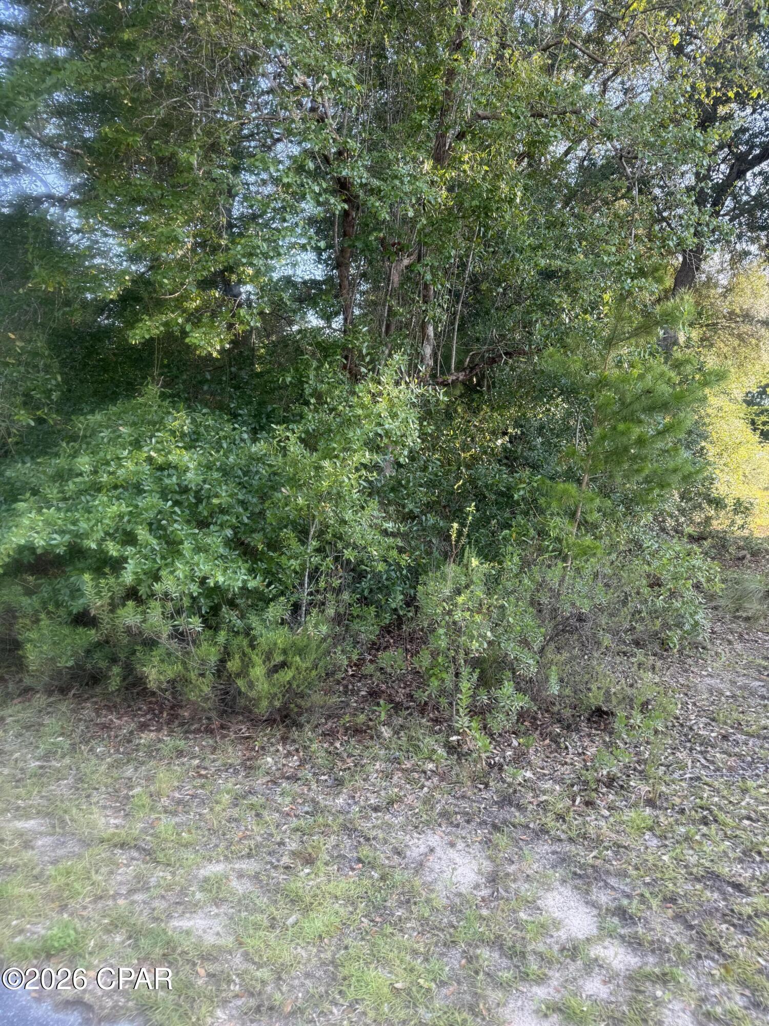 Leisure Lakes 1st Add - Land