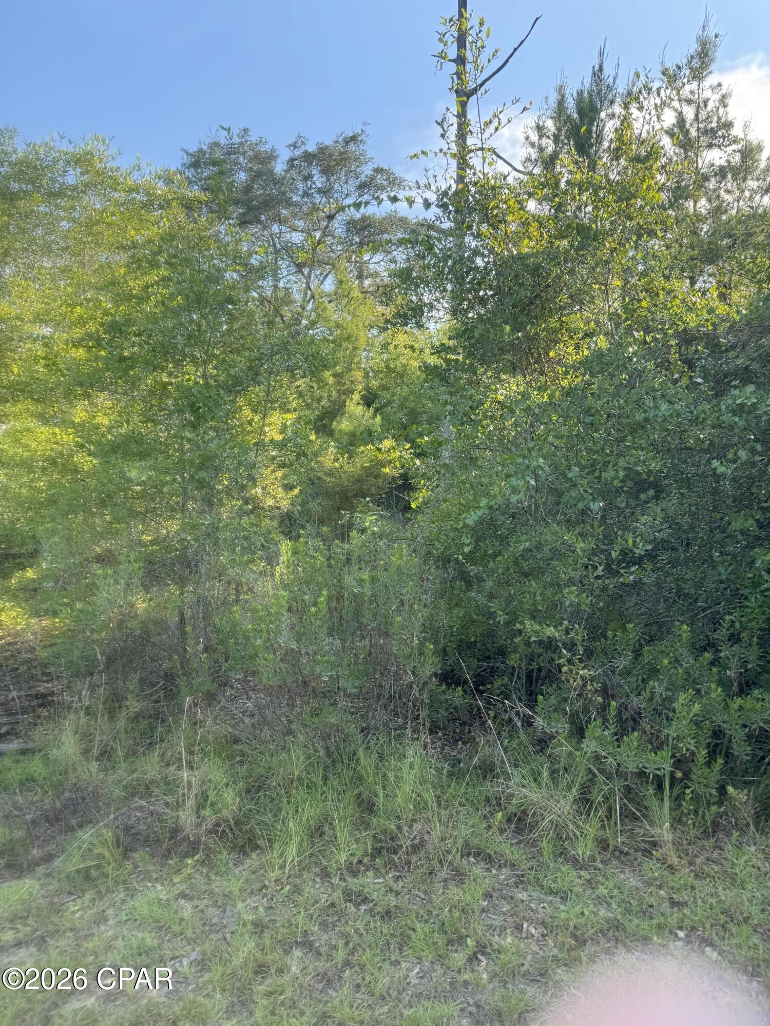 Leisure Lakes 1st Add - Land
