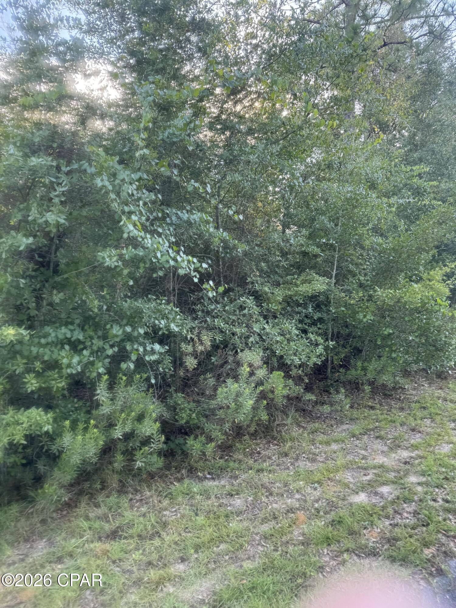 Leisure Lakes 1st Add - Land