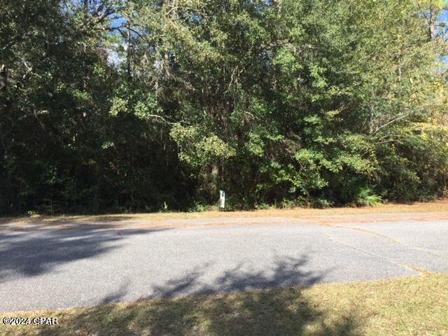 Great lot over 1 acre to build your new home on.  R-2 Duplex/Manufactured Housing per Bay County Planning and Zoning.  Nicely wooded with large magnolia and pine trees. X flood zone. Well and septic needed.