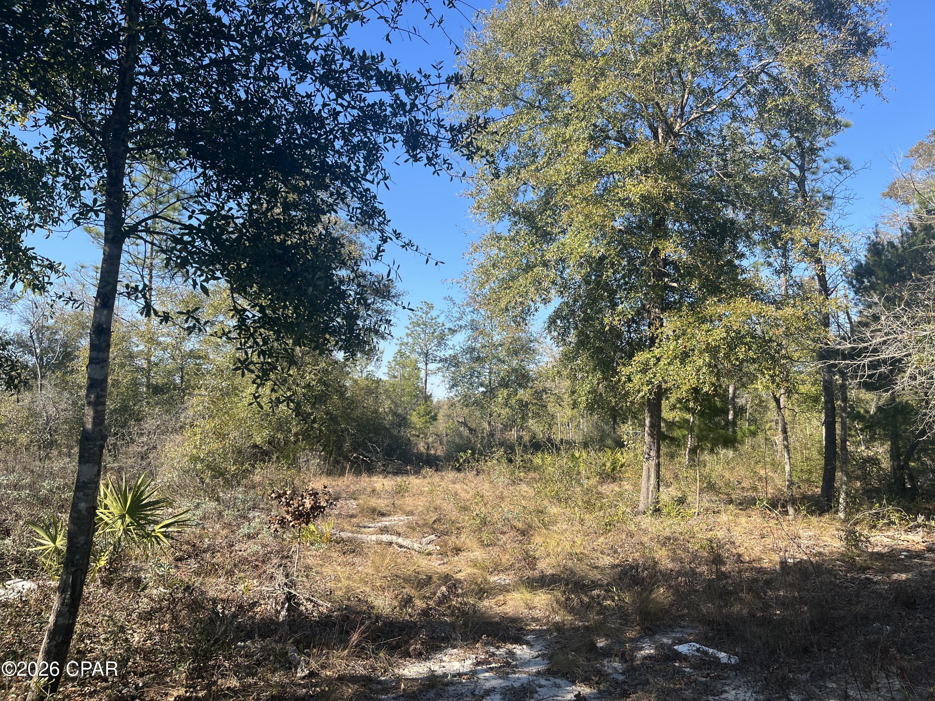 Check out this beautiful lot in Fountain, FL.  This large lot is .68 of an acre that is mostly cleared, with a few large trees.  There's plenty of room for a your future home, a pole barn, a swimming pool, a garden...whatever your heart desires!  Located close to the quiet town of Fountain, but far enough off of the HWY 231 so that you hear nothing but peace and quiet.  This property is less than an hour to the world's most beautiful beach,  and within 10 minutes to Hammond Lake, Bear Pond and Deep Springs Park for plenty of nearby swimming spots & outdoor recreation. Build your dream home or bring in a new mobile home. Make it your forever home, or have a vacation getaway in beautiful Bay Co. Florida.  Go see this affordable lot today! 

All measurements are approximate, please verify if important.