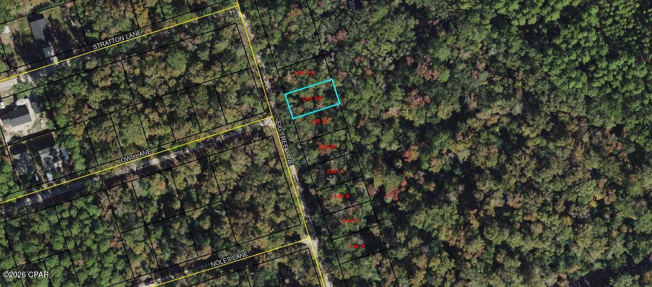 Vacant lot available on Fig Tree Ln in Crawfordville. Great opportunity for builders or investors in a growing area. Convenient and peaceful location just a short drive to the coast. Note: This listing is for one lot. A total of eight adjoining lots are available for purchase.

Buyer to verify all measurements, lot dimensions, and any information deemed important.