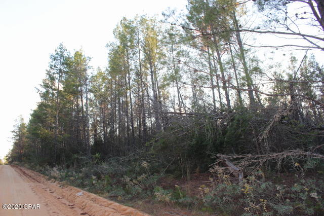 'CURRENTLY UNDER CONTRACT, SELLER ACCEPTING BACKUP OFFERS' 71.57 ACRES MOL located between Caddo Ave and Tract Rd to be surveyed out of parent parcel @ $2,100 per Acre.  Survey to determine exact acreage.  3 road access.  Creek on Triangle CT side.   Investment property, hunting, recreational or use as residential or multi-residential. Wooded with sand pines.  Close drive to Lakepoint Rd and Hwy 231. Minutes to public boat ramp at Compass Lake for boating, skiing and fishing. 45 minute drive MOL to Panama City to Beaches.