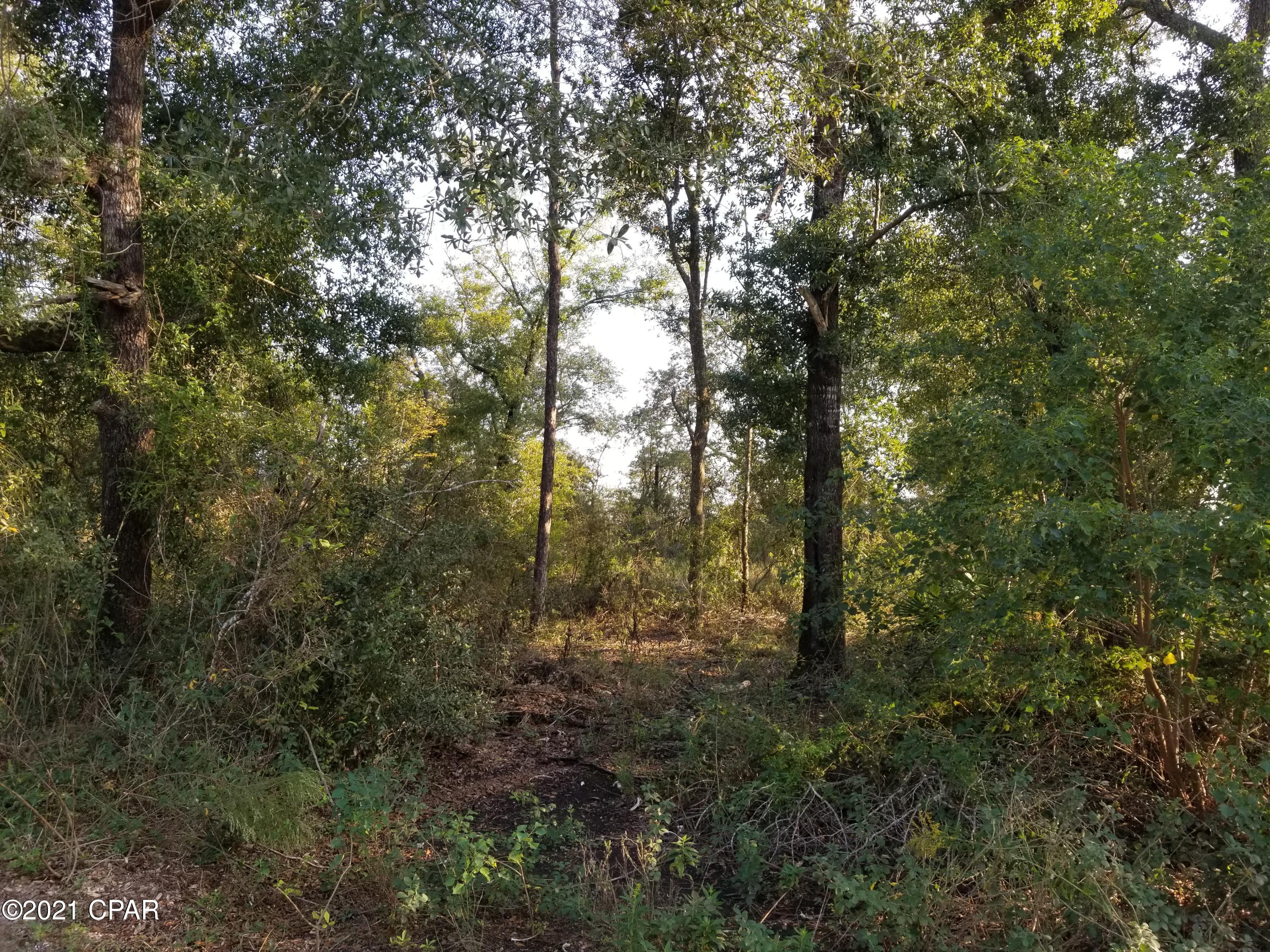 Leisure Lakes - Land
