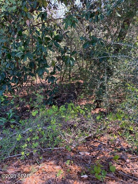 Very nice wooded residential lot in beautiful Compass Lake in the Hills .Various native trees. Enjoy the peaceful surroundings - lots of wildlife, birds and butterflies in the area. Panama City is approx. 45 miles to the South and Dothan, AL is about the same distance to the North. .