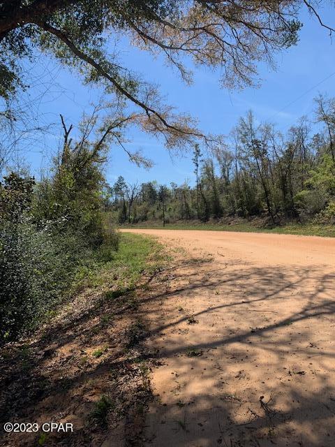 Compass Lake Hills Unit 6 - Land