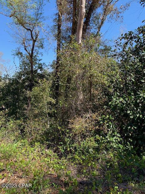 Compass Lake Hills Unit 6 - Land
