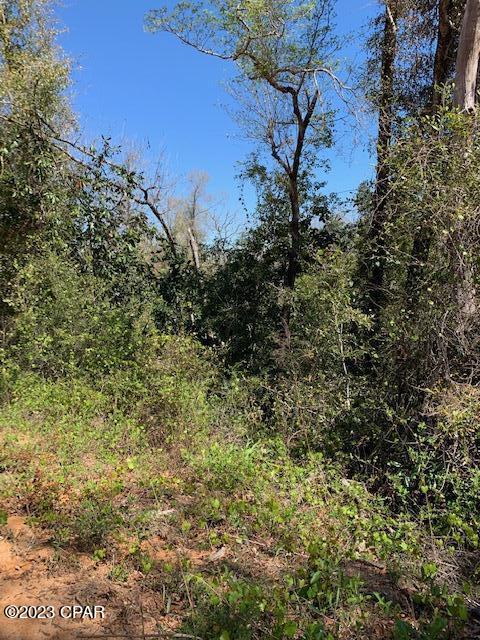 Compass Lake Hills Unit 6 - Land