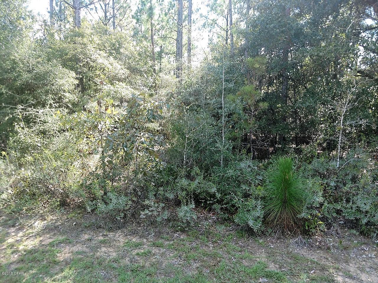 Buckhorn Creek - Land