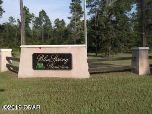 Blue Springs Plantation - Land