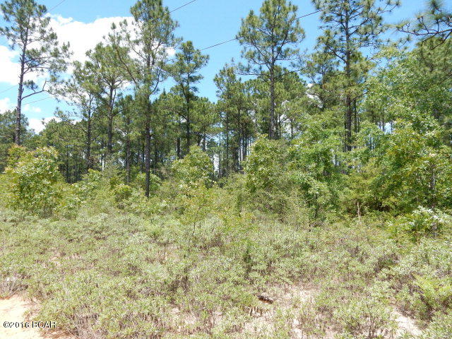 ***OWNER FINANCING AVAILABLE*** NICE TRACT OF LAND LOCATED IN BUCKHORN CREEK THAT WOULD MAKE A GREAT HOMESITE OR INVESTMENT PROPERTY. THIS LOT IS PRIMARILY WOODED AND OFFERS MULTIPLE SITES FOR A MOBILE HOME OR NEW CONSTRUCTION.