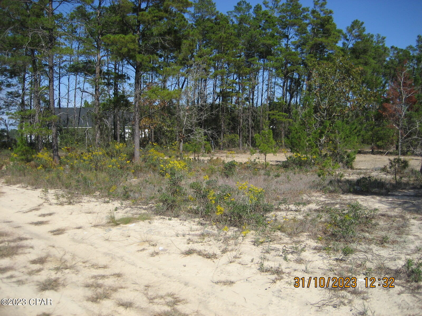 Very nice partially cleared and landscaped property.    Approximately 3 1/2 acres located just outside of town but open space for peace, quiet, and privacy.  The property has its own private driveway coming off of the main road which gives it lots of privacy.   Property appears to have previously had a home on it.    OWNER WILLING TO FINANCE with 20% down at 8.5% for 30 years.  Payment of $507.48/month. 
 All information is taken from the Public Records.  If important to buyer, please verify.