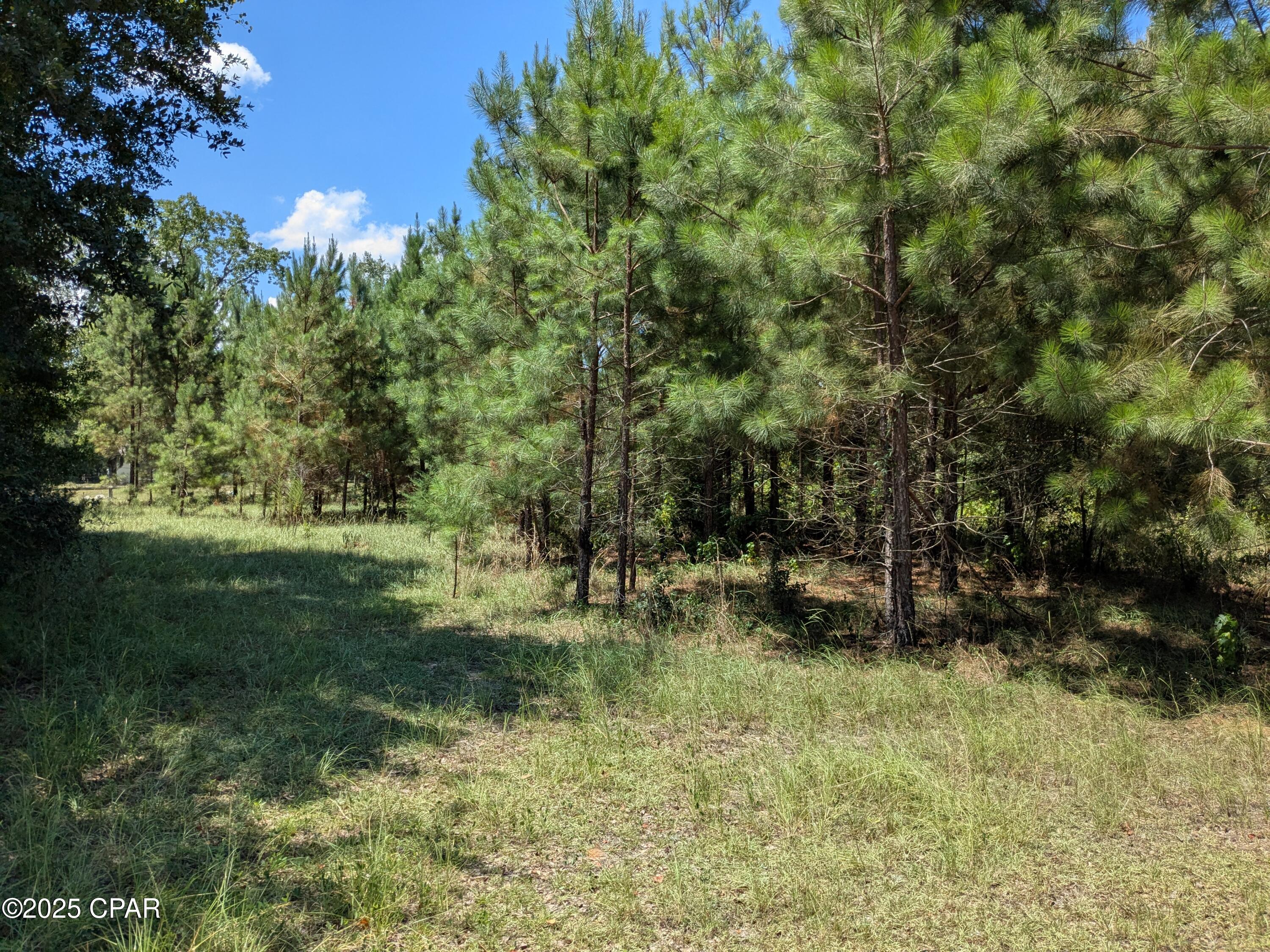 Great location to build a house or place a manufactured home on. Lot has some clearing but is mostly wooded, on paved St.
In a quiet area not far north of Jackson Hospital.
Lot has some nice oaks on it.