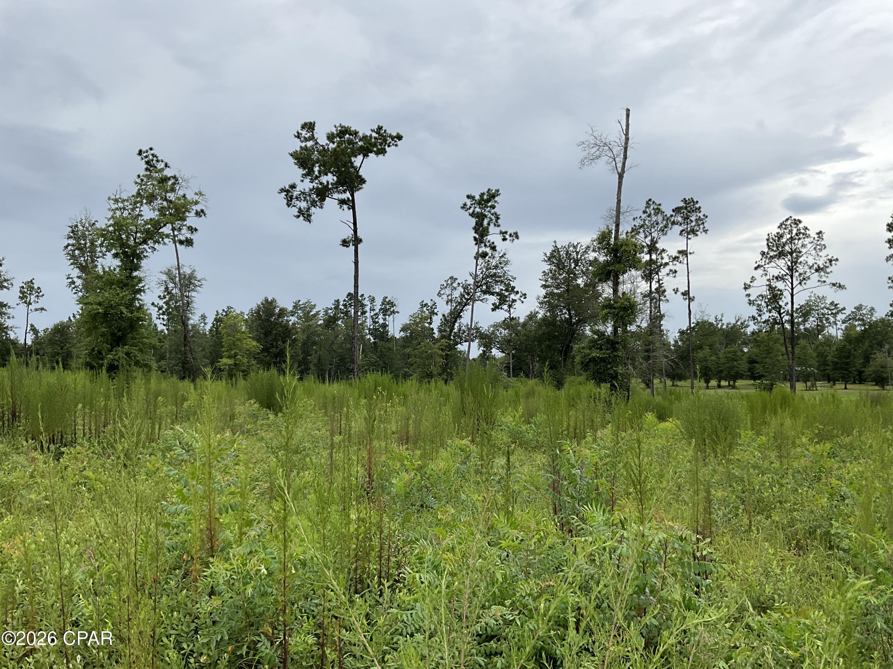 No Named Subdivision - Land