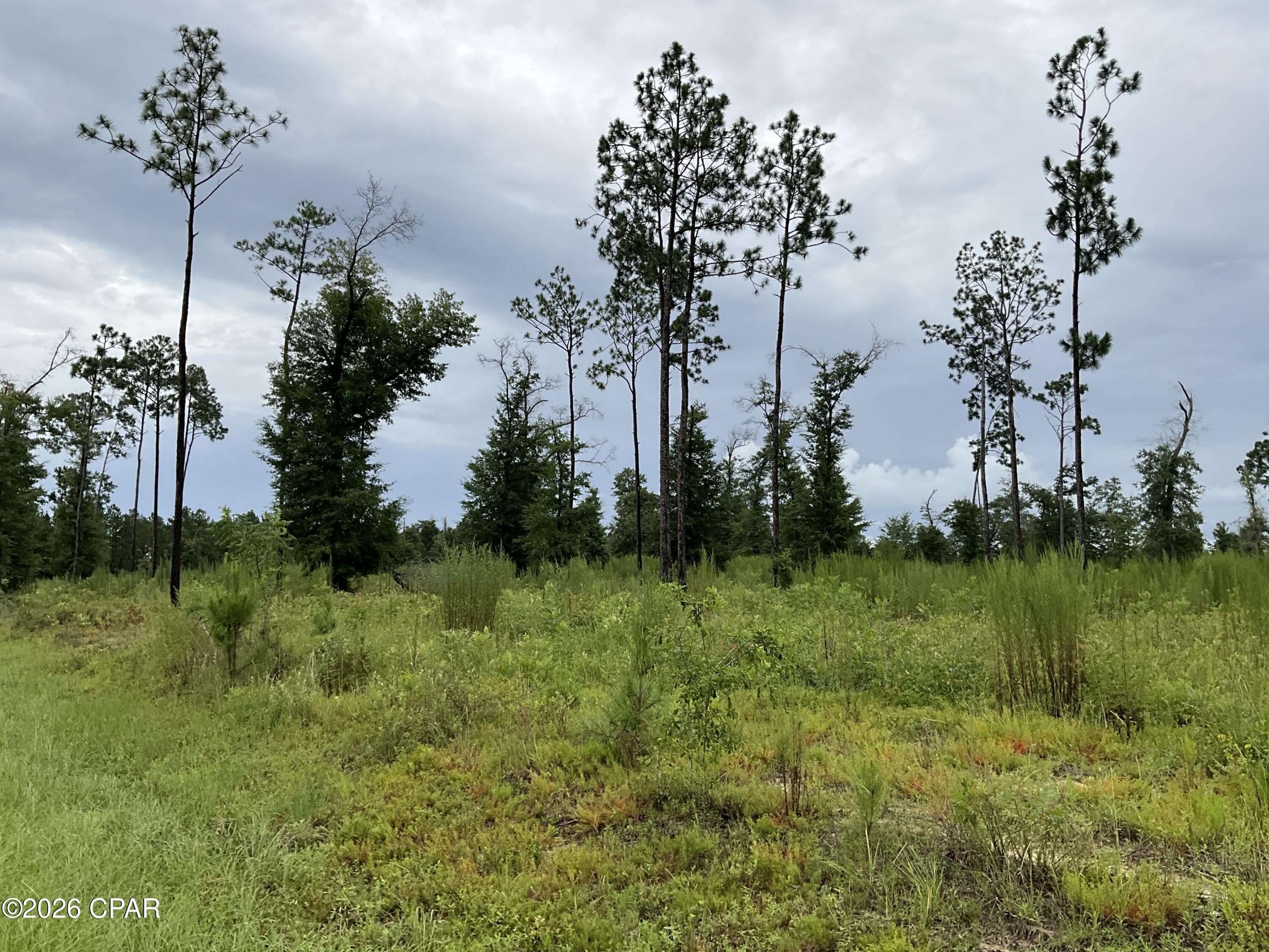 No Named Subdivision - Land