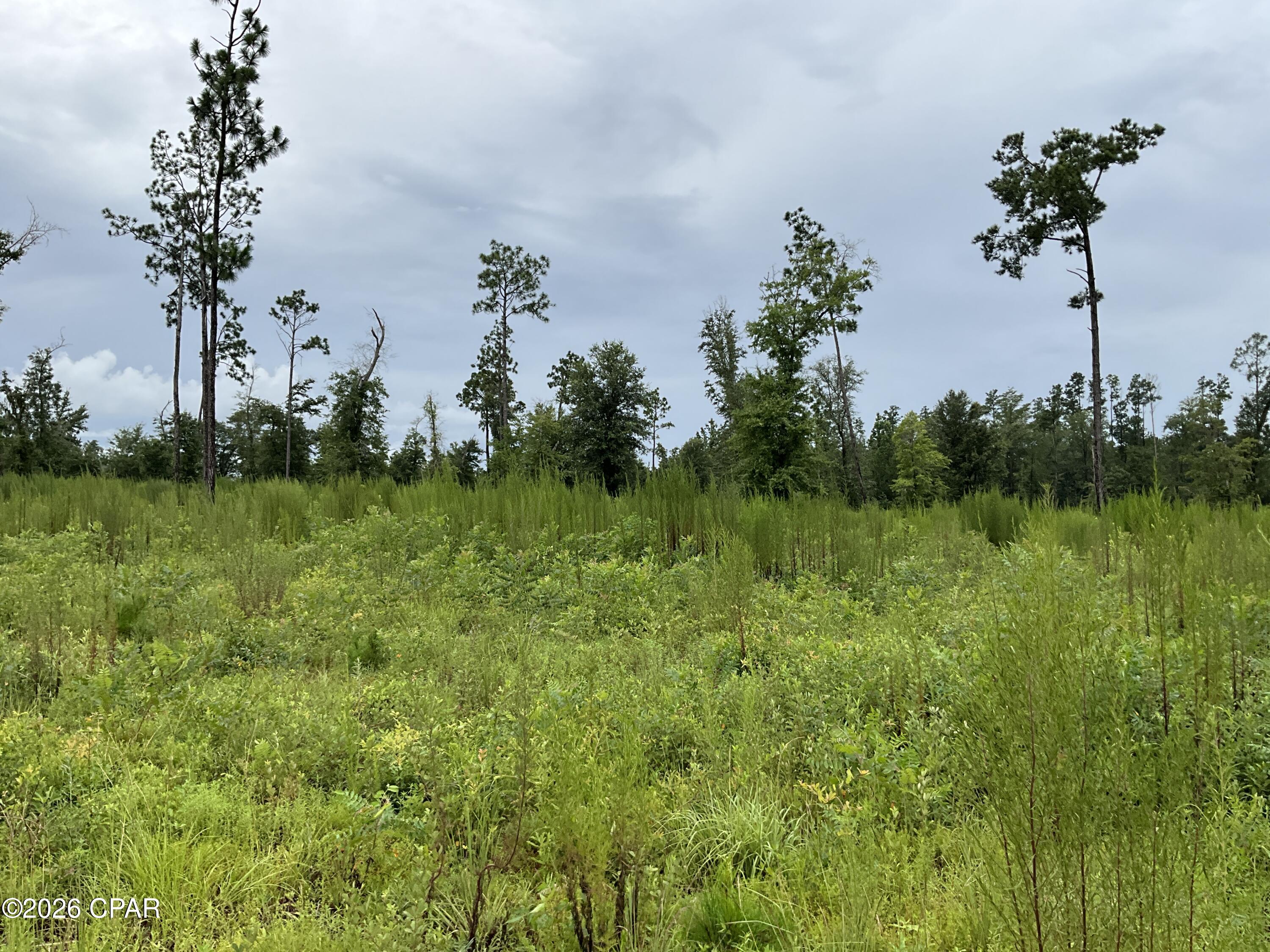 No Named Subdivision - Land