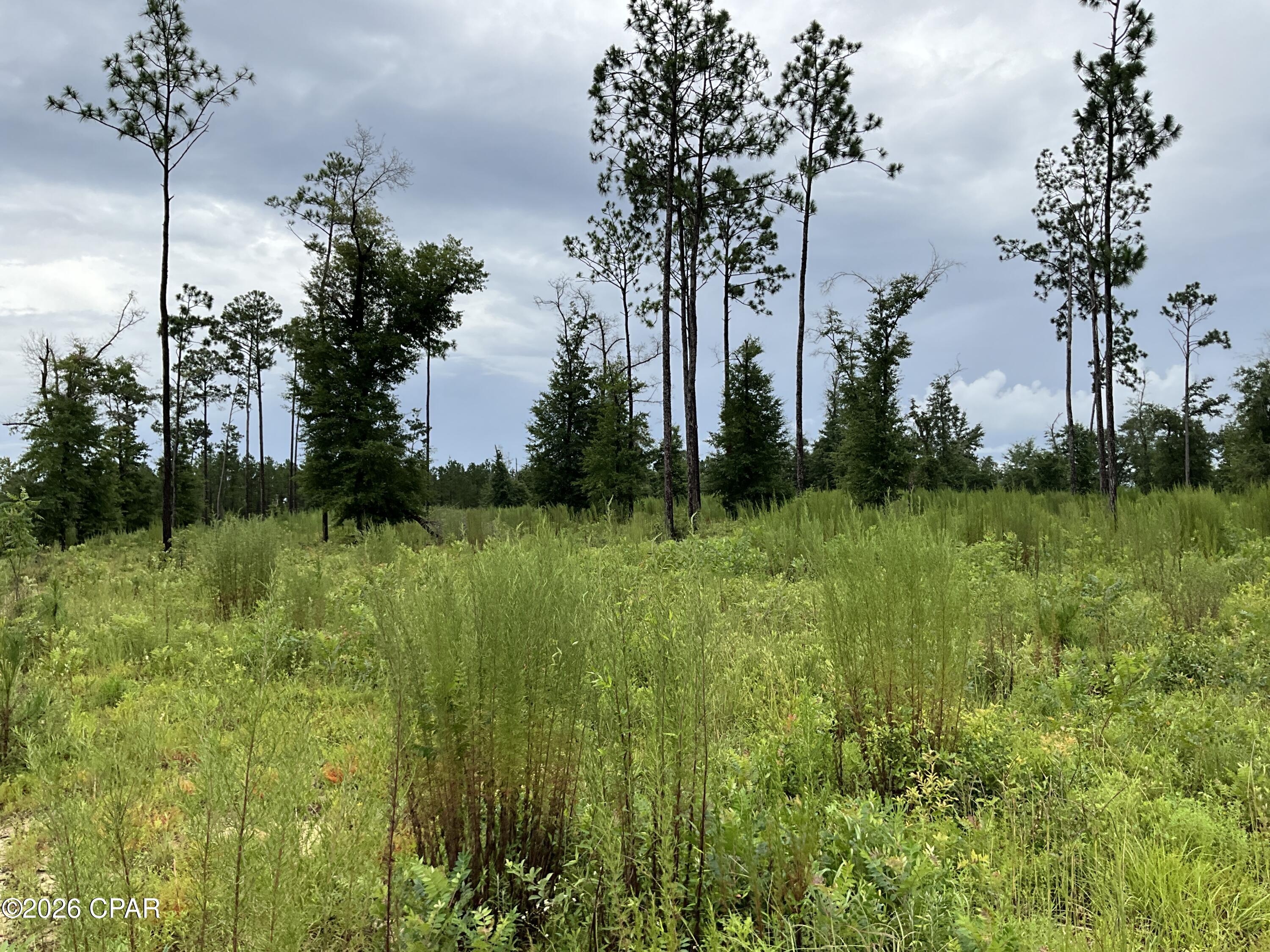 No Named Subdivision - Land